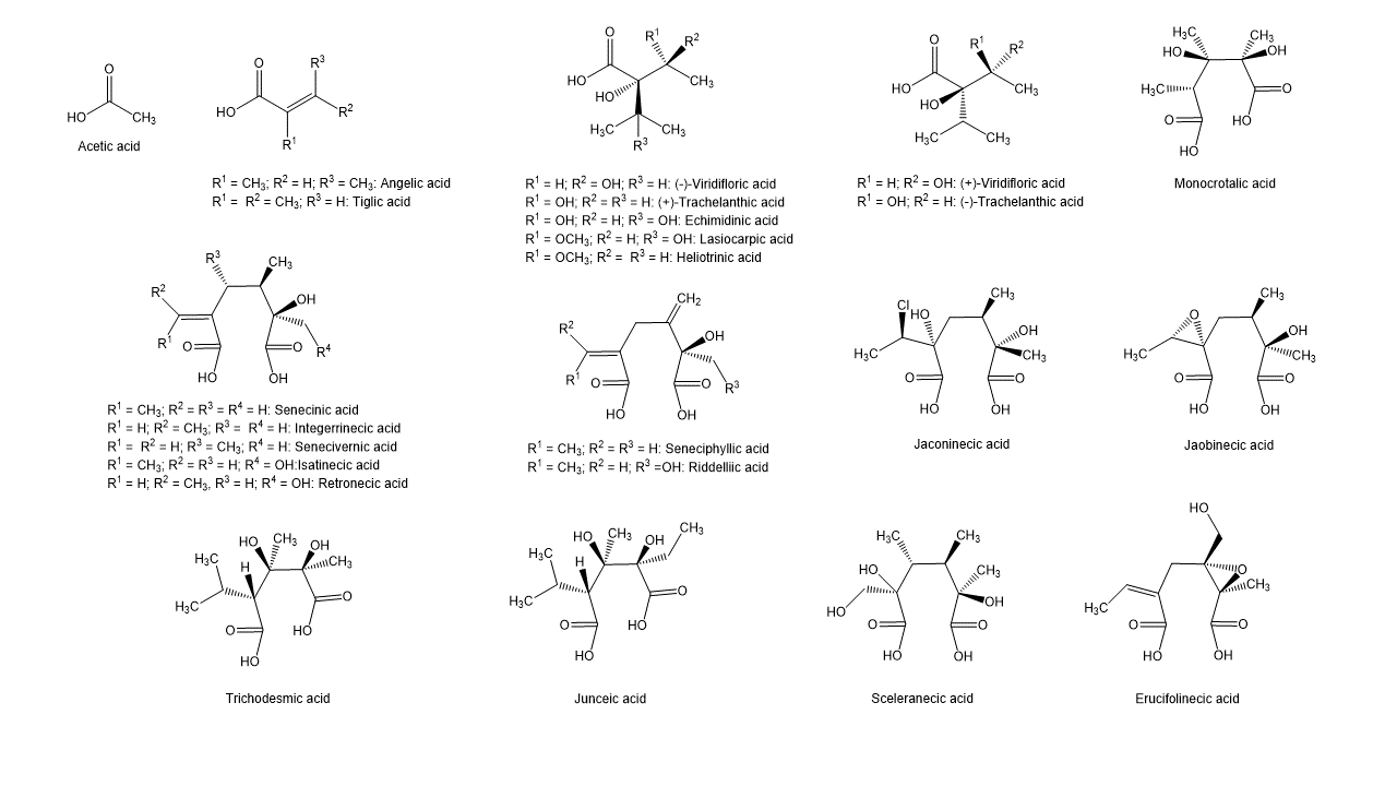 necin acids
